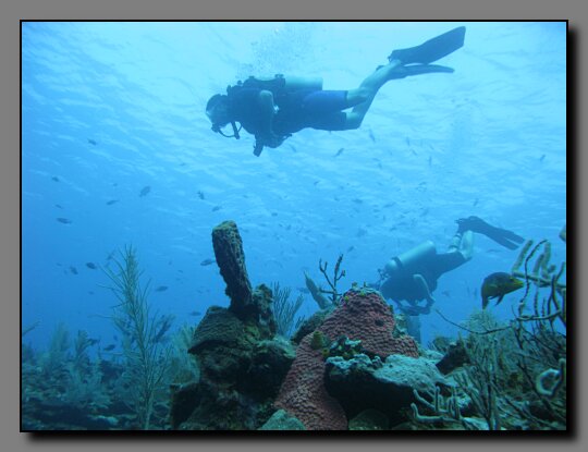 diver over eef